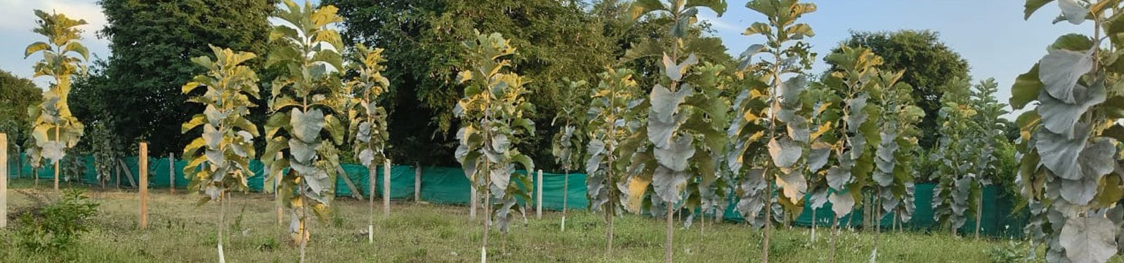 Customer Testimonial Video