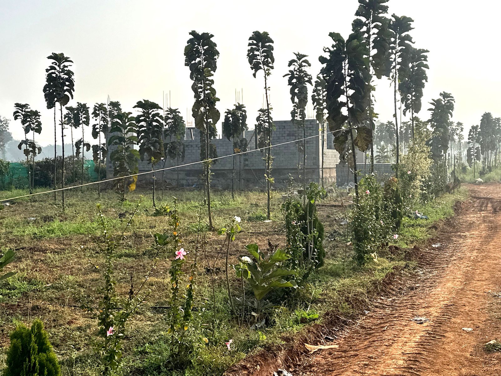 Panchavati Smart Farms