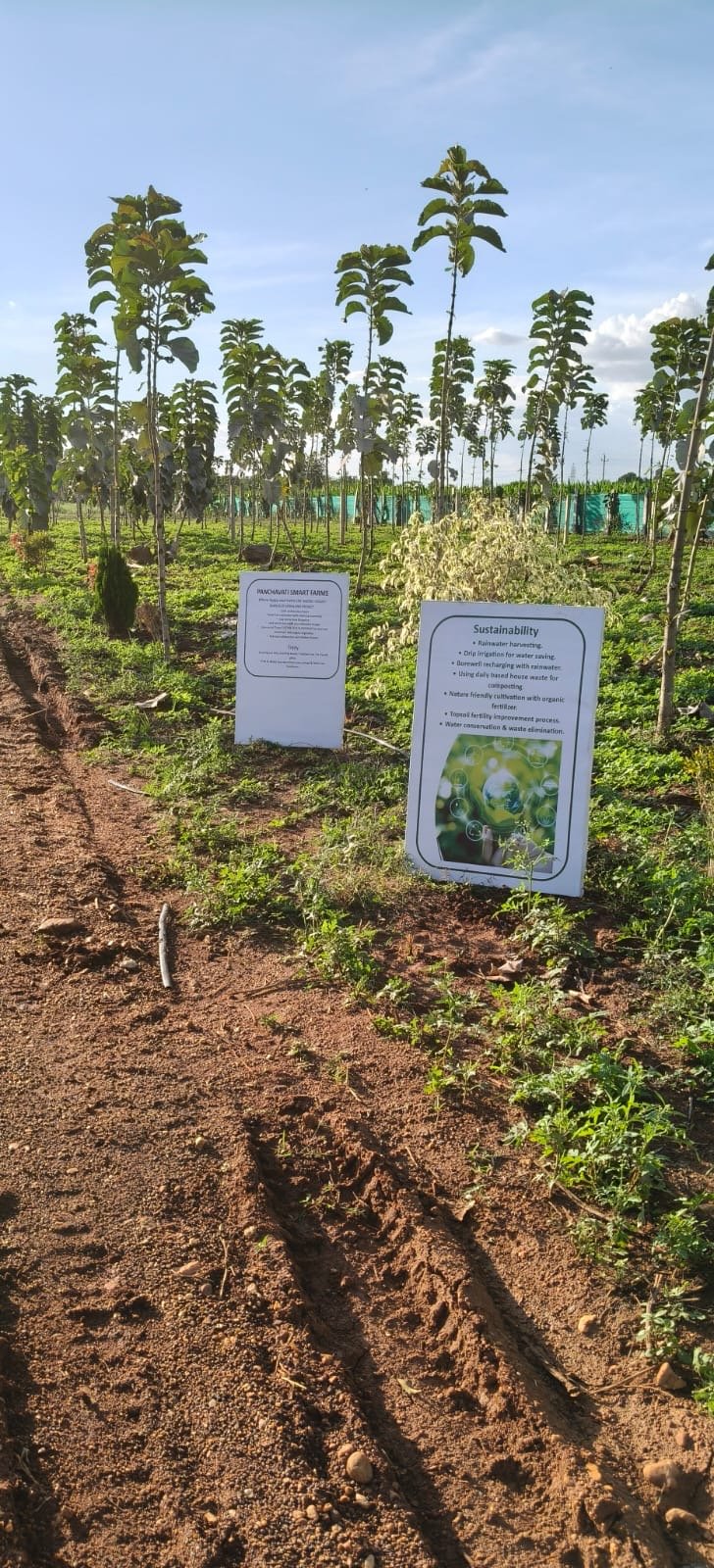 Panchavati Smart Farms